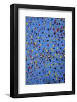 Delhi Grafitti-Art Wolfe-Framed Photographic Print