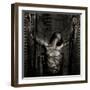 Delia Bound-Trevor Alyn-Framed Photographic Print