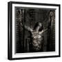 Delia Bound-Trevor Alyn-Framed Photographic Print