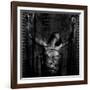 Delia Bound-Trevor Alyn-Framed Photographic Print