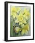 Delias Mysis (Union Jack) Butterfly on Daffodils-Karen Armitage-Framed Giclee Print