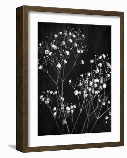 Delicate 1-Ann Bailey-Framed Art Print