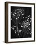 Delicate 1-Ann Bailey-Framed Art Print