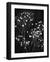 Delicate 1-Ann Bailey-Framed Art Print