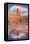 Delicate Arch and Cloud Reflection, Arches National Park-Vincent James-Framed Stretched Canvas