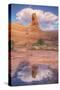 Delicate Arch and Cloud Reflection, Arches National Park-Vincent James-Stretched Canvas