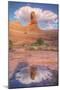 Delicate Arch and Cloud Reflection, Arches National Park-Vincent James-Mounted Photographic Print