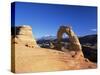 Delicate Arch, Arches National Park, Moab, Utah, USA-Lee Frost-Stretched Canvas