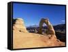 Delicate Arch, Arches National Park, Moab, Utah, USA-Lee Frost-Framed Stretched Canvas
