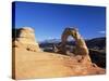 Delicate Arch, Arches National Park, Moab, Utah, USA-Lee Frost-Stretched Canvas