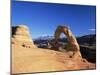 Delicate Arch, Arches National Park, Moab, Utah, USA-Lee Frost-Mounted Photographic Print