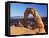 Delicate Arch, Arches National Park, Moab, Utah, USA-Lee Frost-Framed Stretched Canvas