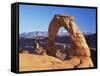 Delicate Arch, Arches National Park, Moab, Utah, USA-Lee Frost-Framed Stretched Canvas