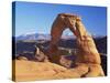 Delicate Arch, Arches National Park, Moab, Utah, USA-Lee Frost-Stretched Canvas