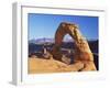 Delicate Arch, Arches National Park, Moab, Utah, USA-Lee Frost-Framed Photographic Print