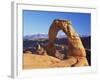 Delicate Arch, Arches National Park, Moab, Utah, USA-Lee Frost-Framed Photographic Print