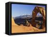 Delicate Arch, Arches National Park, Moab, Utah, USA-Lee Frost-Framed Stretched Canvas