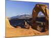 Delicate Arch, Arches National Park, Moab, Utah, USA-Lee Frost-Mounted Photographic Print