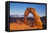 Delicate Arch, Arches National Park, Near Moab, Utah, United States of America, North America-Neale Clark-Framed Stretched Canvas
