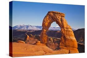 Delicate Arch, Arches National Park, Near Moab, Utah, United States of America, North America-Neale Clark-Stretched Canvas