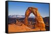 Delicate Arch, Arches National Park, Near Moab, Utah, United States of America, North America-Neale Clark-Framed Stretched Canvas