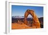 Delicate Arch, Arches National Park, Near Moab, Utah, United States of America, North America-Neale Clark-Framed Photographic Print