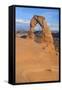 Delicate Arch, Arches National Park, Utah, United States of America, North America-Gary Cook-Framed Stretched Canvas