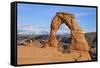 Delicate Arch, Arches National Park, Utah, United States of America, North America-Gary Cook-Framed Stretched Canvas