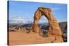 Delicate Arch, Arches National Park, Utah, United States of America, North America-Gary Cook-Stretched Canvas