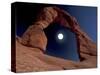 Delicate Arch, Arches National Park, Utah, USA-Art Wolfe-Stretched Canvas