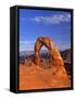 Delicate Arch, Arches National Park, Utah, USA-Gavin Hellier-Framed Stretched Canvas