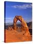 Delicate Arch, Arches National Park, Utah, USA-Gavin Hellier-Stretched Canvas