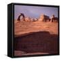 Delicate Arch, Arches National Park, Utah, USA-Paul C. Pet-Framed Stretched Canvas