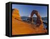 Delicate Arch, Arches Np, Utah, USA-Gavin Hellier-Framed Stretched Canvas