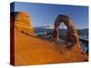 Delicate Arch, Arches Np, Utah, USA-Gavin Hellier-Stretched Canvas