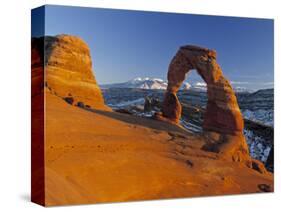 Delicate Arch, Arches Np, Utah, USA-Gavin Hellier-Stretched Canvas