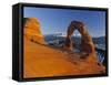 Delicate Arch, Arches Np, Utah, USA-Gavin Hellier-Framed Stretched Canvas