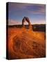 Delicate Arch in Arches National Park-Jon Hicks-Stretched Canvas