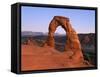 Delicate Arch in the Arches National Park in Utah, USA-null-Framed Stretched Canvas