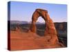 Delicate Arch in the Arches National Park in Utah, USA-null-Stretched Canvas
