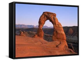 Delicate Arch in the Arches National Park in Utah, USA-null-Framed Stretched Canvas