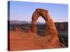 Delicate Arch in the Arches National Park in Utah, USA-null-Stretched Canvas