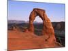 Delicate Arch in the Arches National Park in Utah, USA-null-Mounted Photographic Print