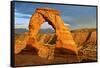 Delicate Arch - Landscape - Arches National Park - Utah - United States-Philippe Hugonnard-Framed Stretched Canvas