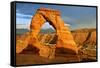 Delicate Arch - Landscape - Arches National Park - Utah - United States-Philippe Hugonnard-Framed Stretched Canvas