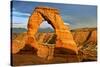 Delicate Arch - Landscape - Arches National Park - Utah - United States-Philippe Hugonnard-Stretched Canvas