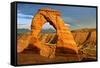 Delicate Arch - Landscape - Arches National Park - Utah - United States-Philippe Hugonnard-Framed Stretched Canvas