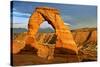 Delicate Arch - Landscape - Arches National Park - Utah - United States-Philippe Hugonnard-Stretched Canvas