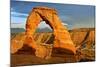 Delicate Arch - Landscape - Arches National Park - Utah - United States-Philippe Hugonnard-Mounted Photographic Print