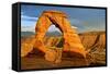 Delicate Arch - Landscape - Arches National Park - Utah - United States-Philippe Hugonnard-Framed Stretched Canvas